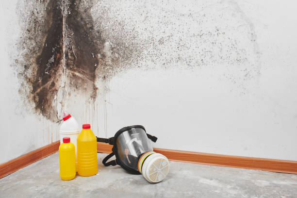 Crawl Space Mold Removal in Winner, SD
