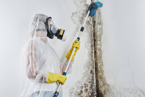 Best Mold Testing  in Winner, SD