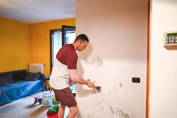 Best Commercial Mold Removal  in Winner, SD